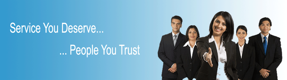 pana corp software solutions services